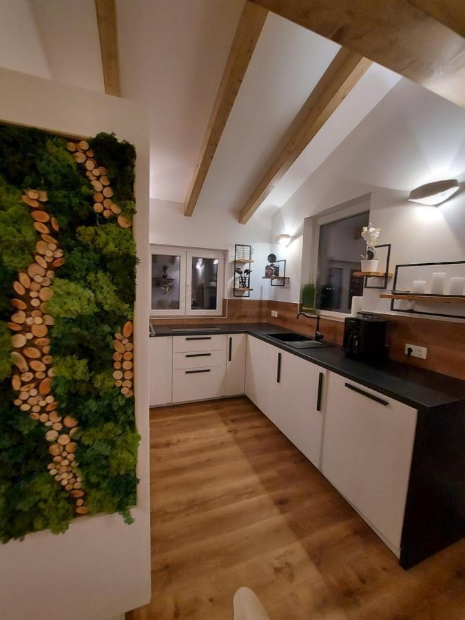 شقة Auszeit Steiraland Penthouse 9 Mit Grossen Balkon Und Parkplatz لوبن المظهر الخارجي الصورة